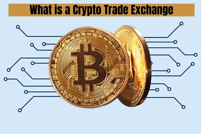 what is a crypto trade exchange